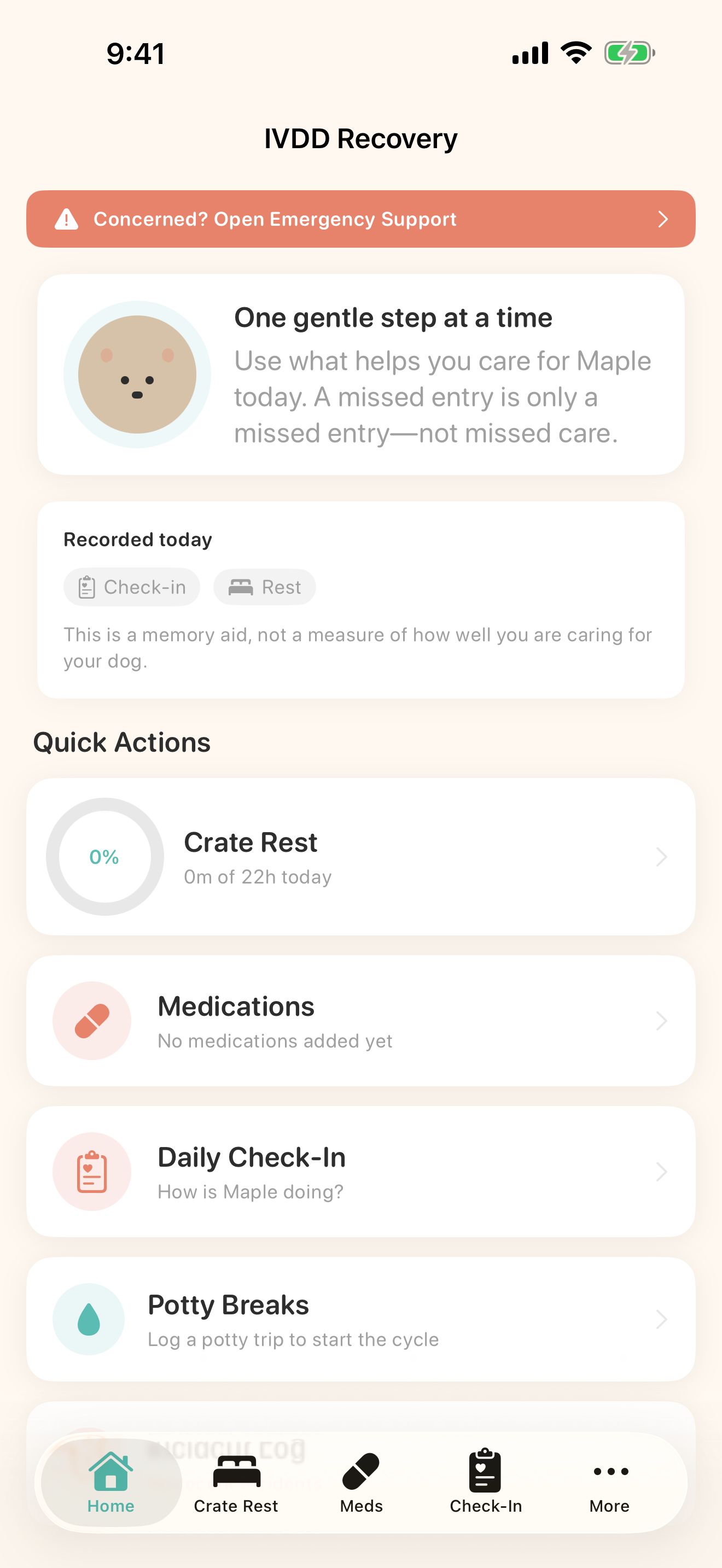 Actual IVDD Recovery dashboard on iPhone